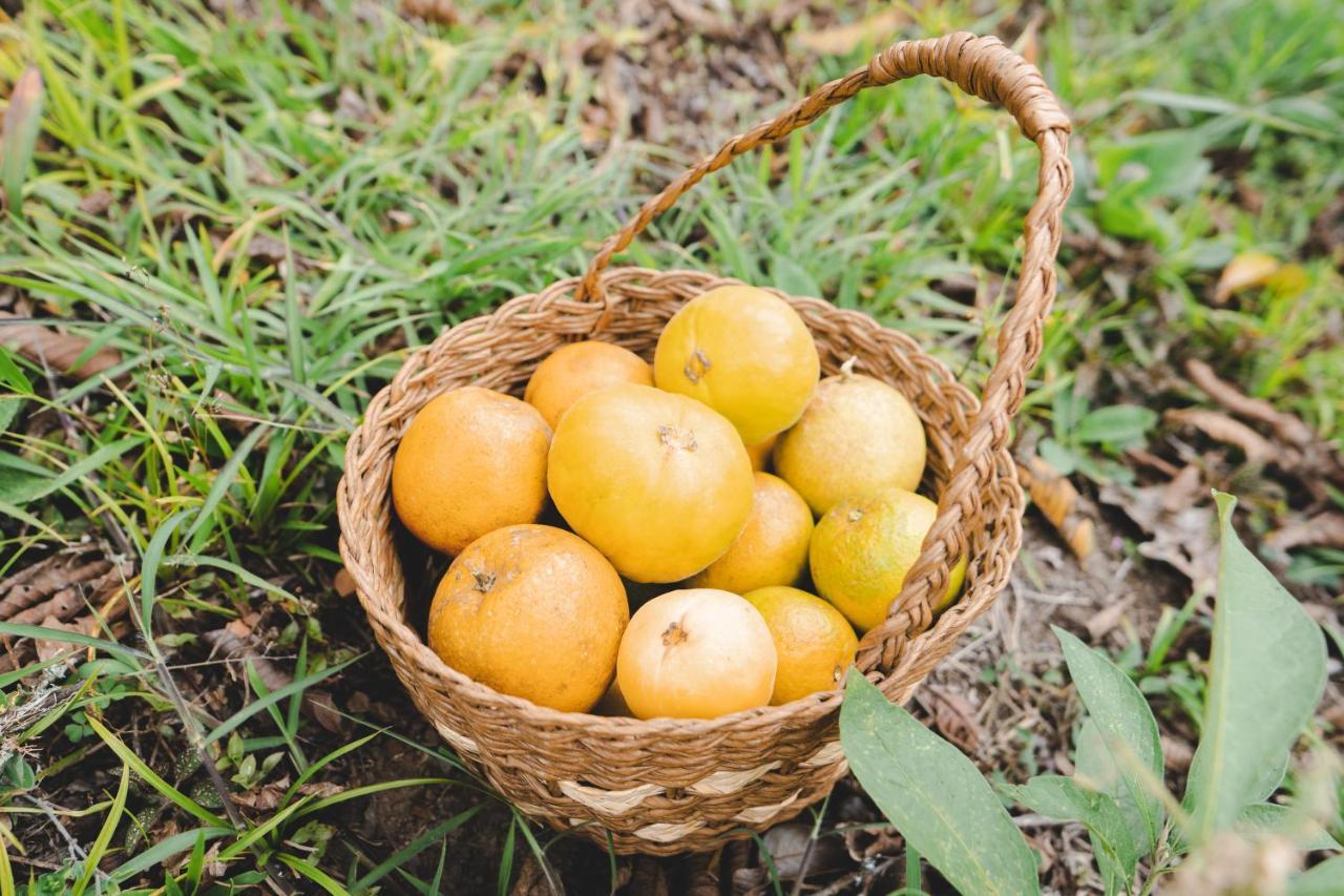 Piripe Wellness Lodge Pacto Dış mekan fotoğraf
